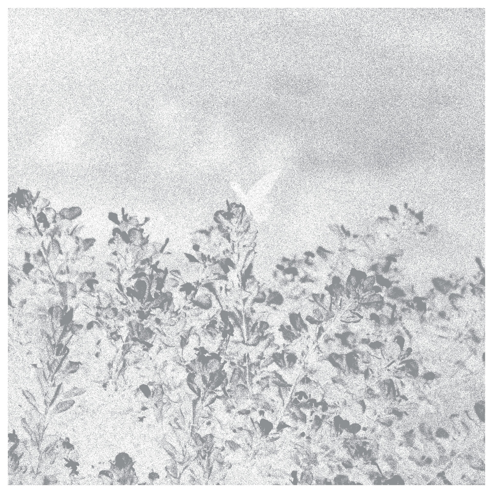 Marwan - Troebel Water