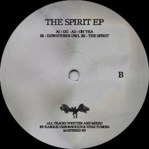 DUST - The Spirit