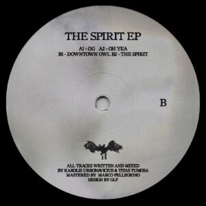 DUST - The Spirit