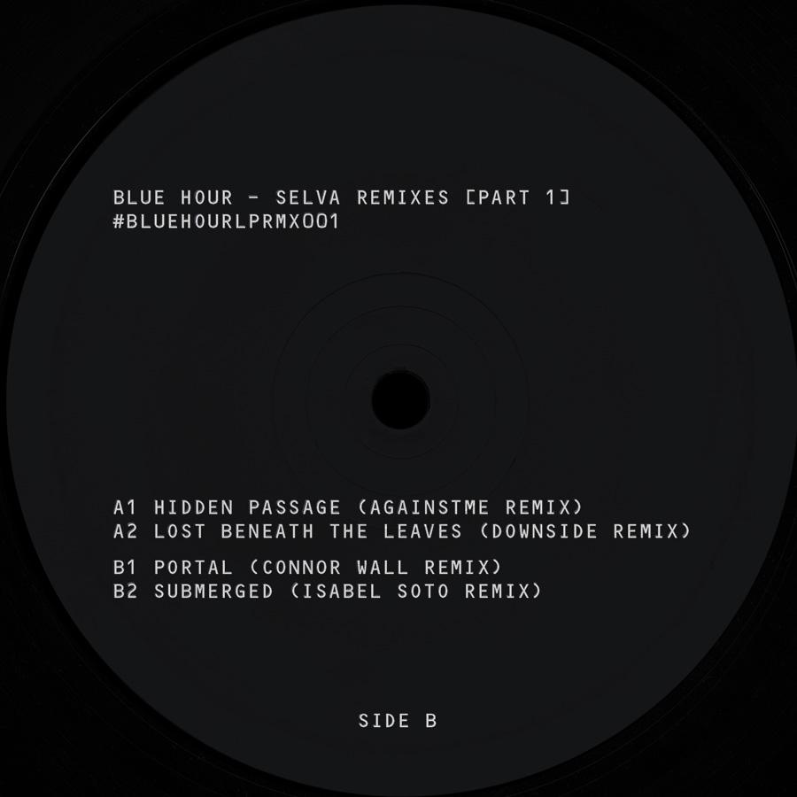 Blue Hour - Selva Remixes - Image 3